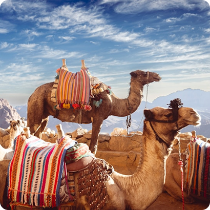 Egypt