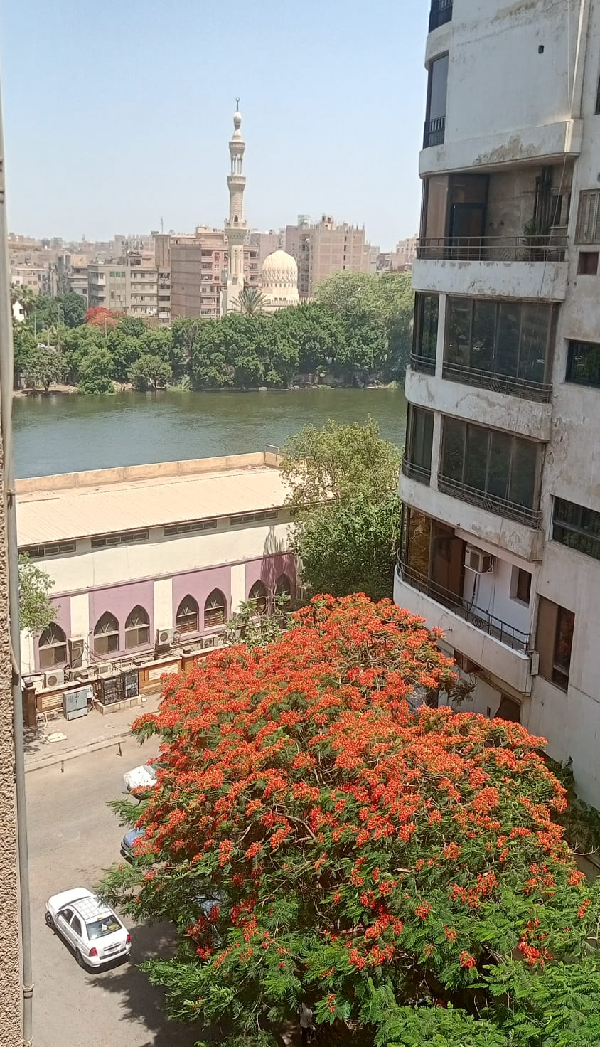 WhatsApp Image 2026-06-09 at 3.35.15 PMp;.